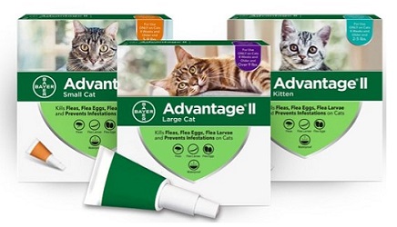 Advantix hot sale and cats